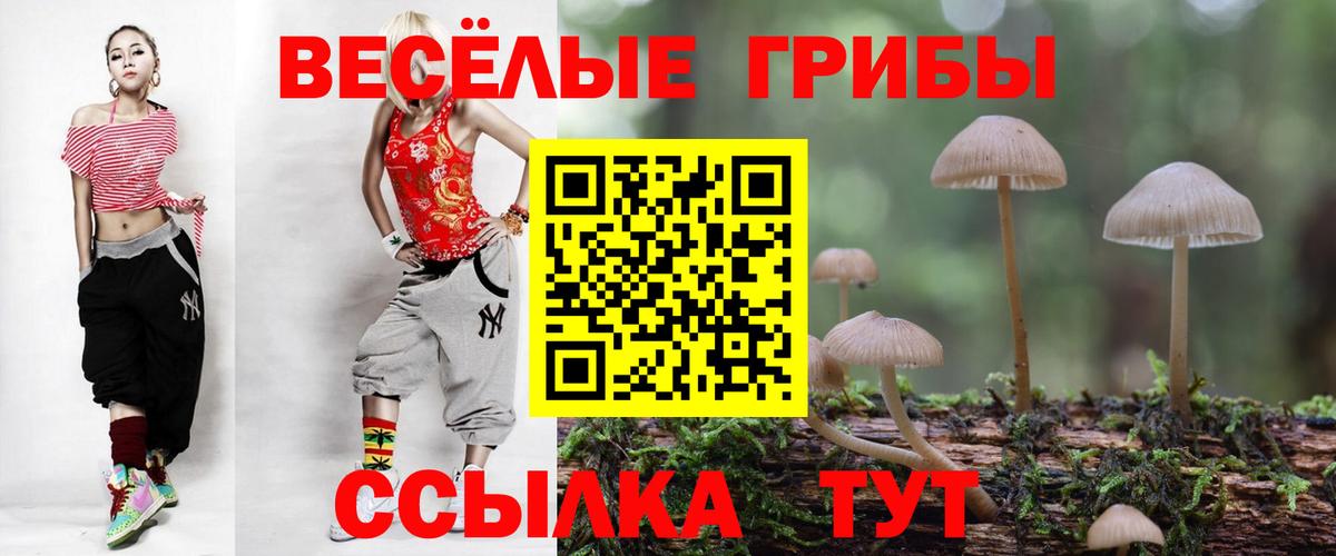 Михайловск  Галлюциногенные грибы Cubensis  Псилоцибиновые грибы GOLDEN TEACHER  Вход с VPN 