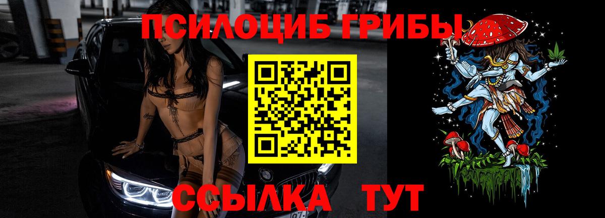 Псилоцибиновые грибы прущие грибы Михайловск